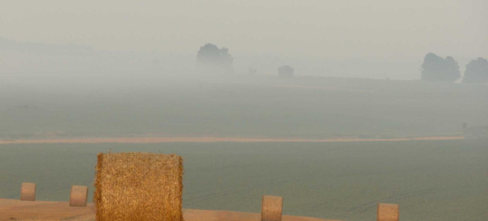 网页在线DDOS压力测试|欧宝体育详情下载教程app