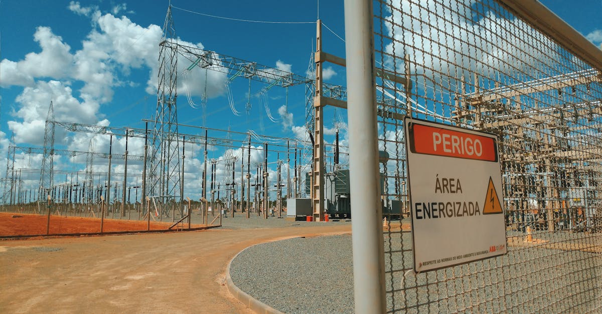 方盒绿大熊猫：抽签购买茅台平台