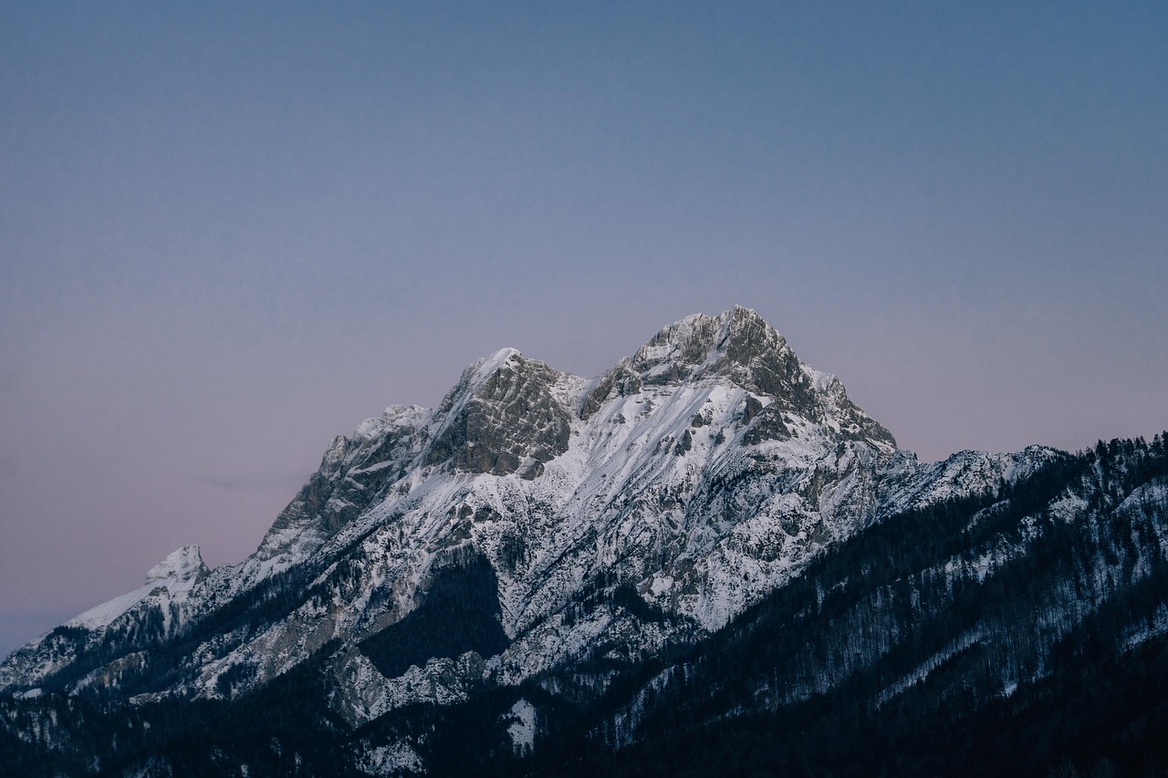 DDOS网页端源码|趣赢平台代理