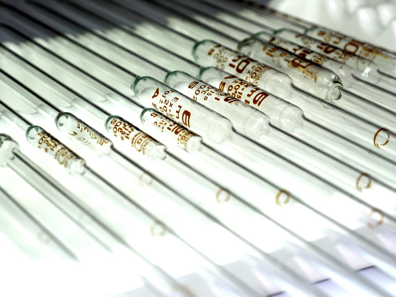 全球SEO战力全览 