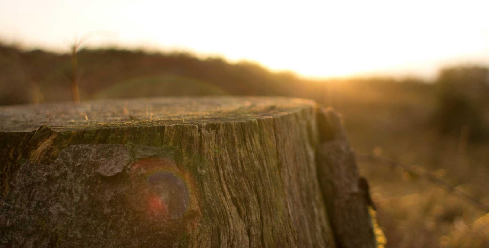 Peel百乐苹果爆珠：江西南昌手游平台代理