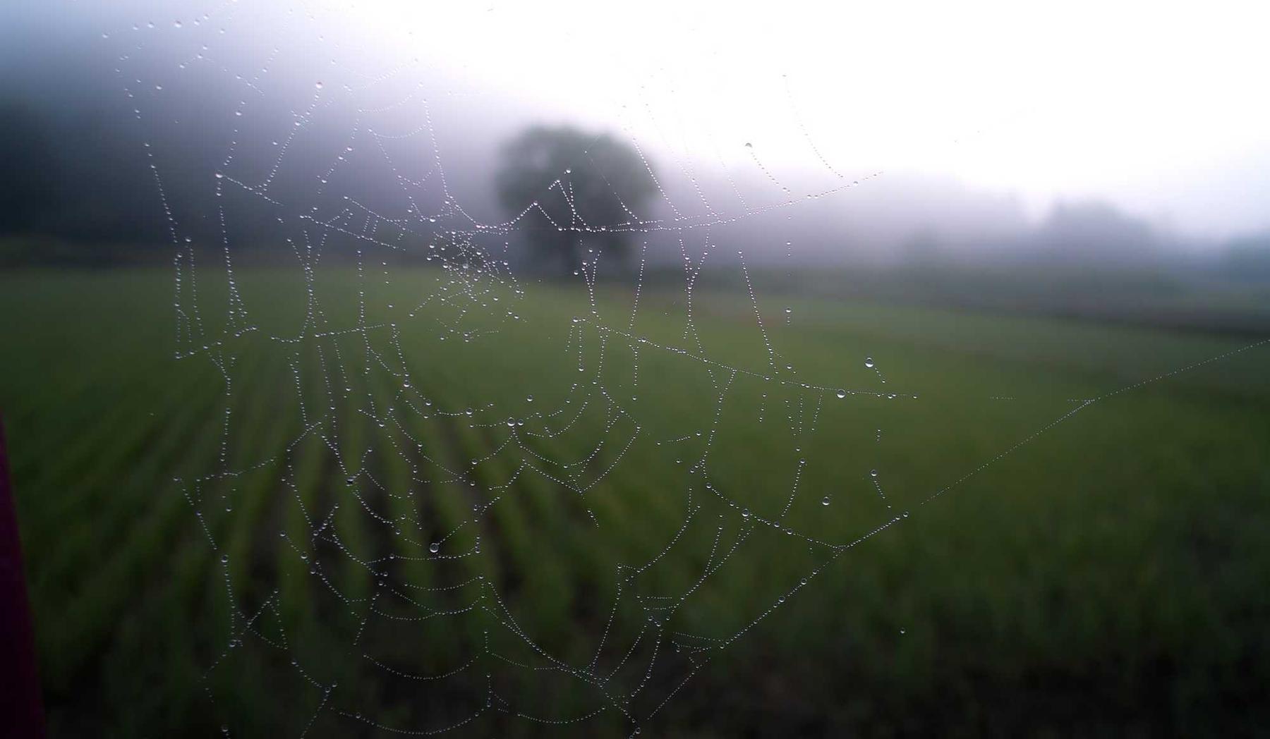 爱用云实名账号：福州鱼缸购买平台