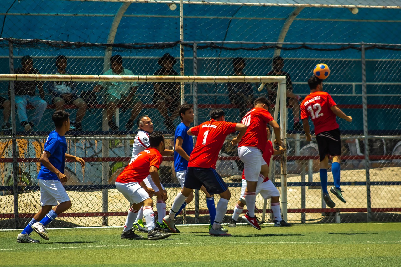 花生ip实名账号：如何代理赚钱平台