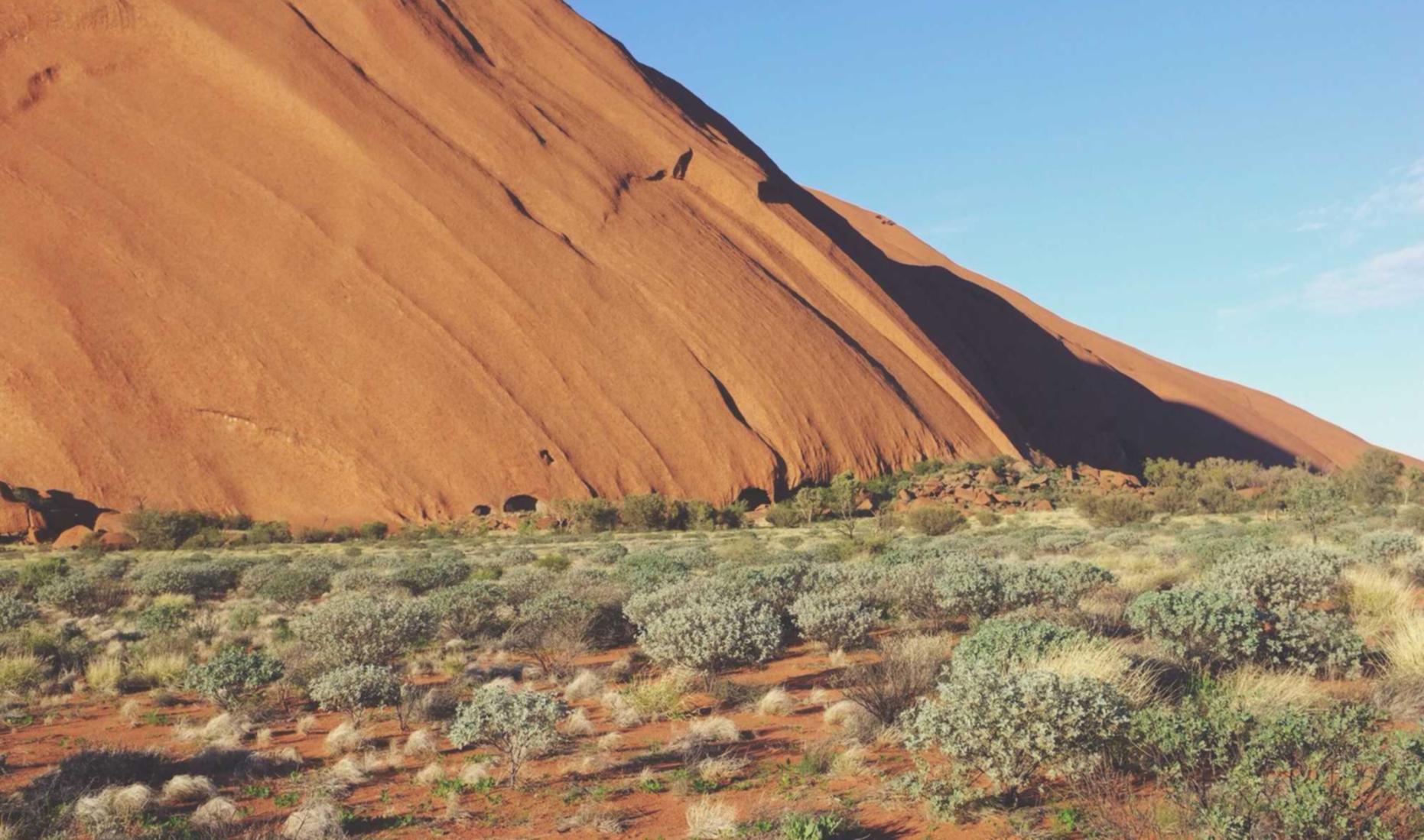 短信营销给营销人员带来的启示