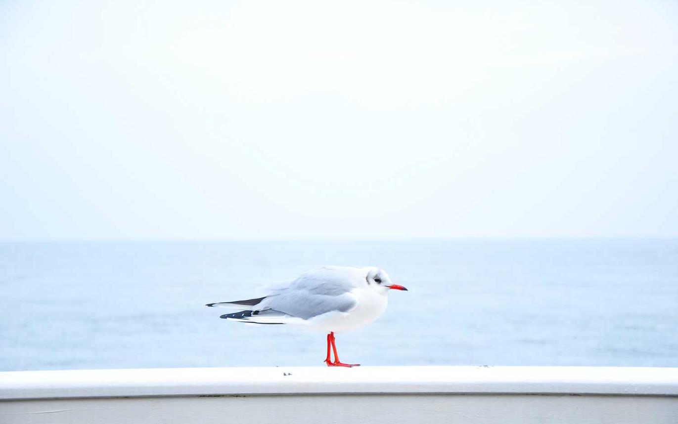 杏悦腾讯自媒体如何注册账号